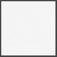 PVC Edgebanding, Color 2020 Neutral White, 0.018" Thick 15/16" x 600' Roll