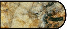 IdealEdge Edgebanding, Color 3465-11 Golden Mascarello, 0.027" Thick 144", Satin Touch Finish, Bullnose