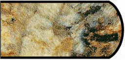 IdealEdge Edgebanding, Color 3465-11 Golden Mascarello, 0.027" Thick 144", Satin Touch Finish, Double Radius
