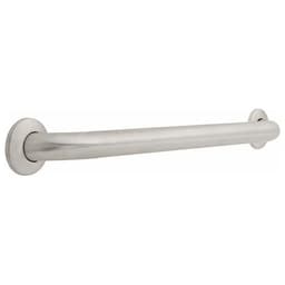 Centurion 24" x 1-1/2" Concealed Screw Grab Bar, Stainless Steel