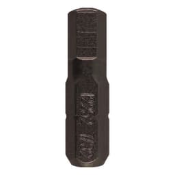 1" Hex Tamper Proof Drive Insert Bit, 7/32" Shank (100/Pack)