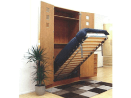 An image of Bed Mechanisms