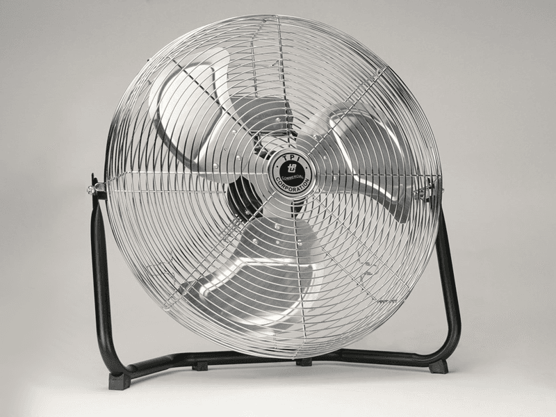 Fans