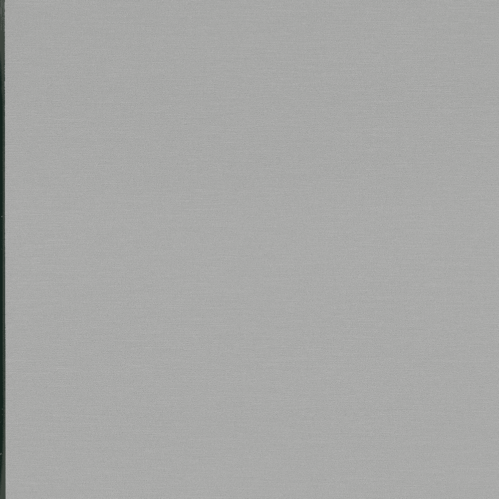60" x 144" Nevamar Laminate AG8000-SD Silver Dollar