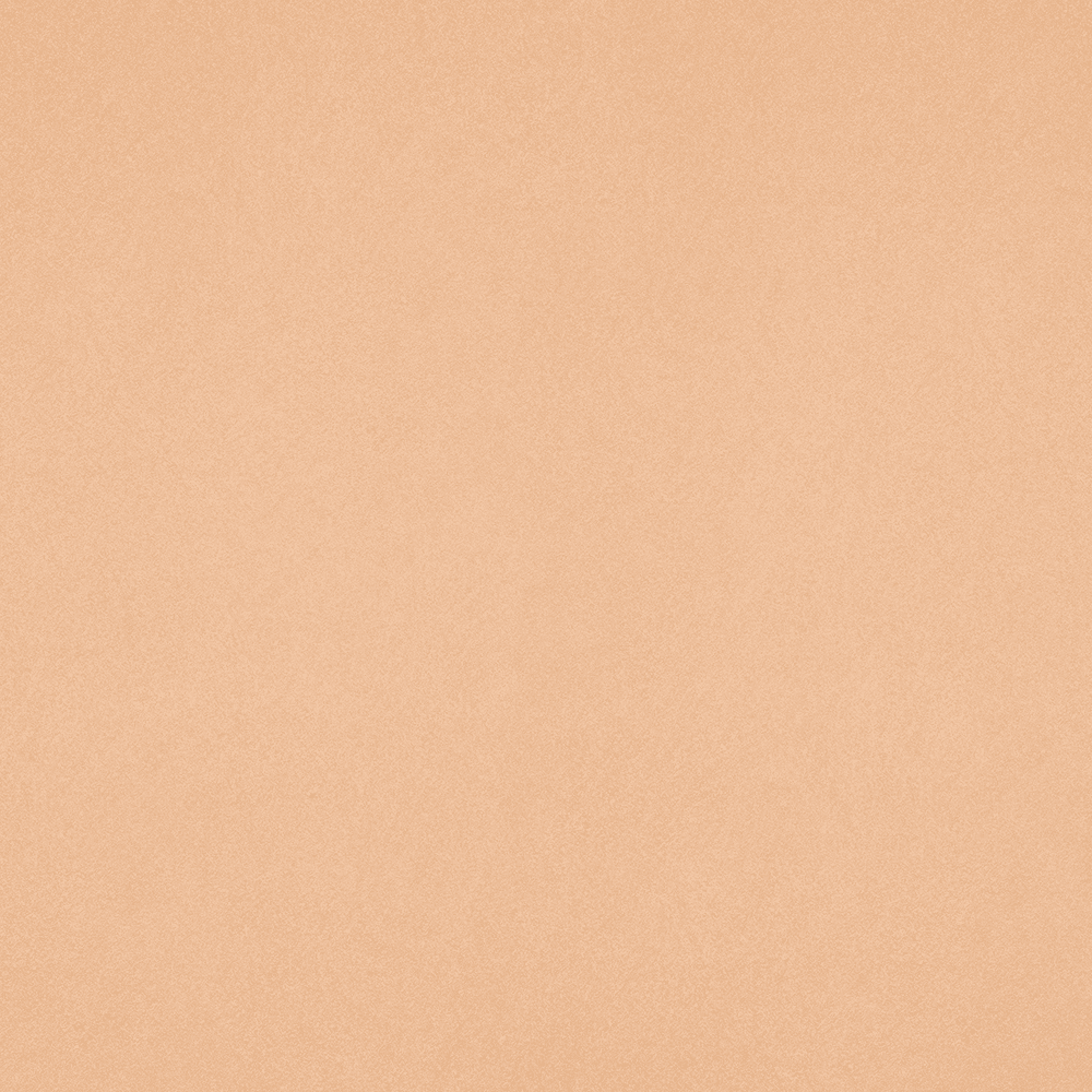 48" x 96 Nevamar AL2002-T Laminate in Golden Allusion