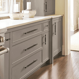 Sophisticated modern statement T-knob from Amerock