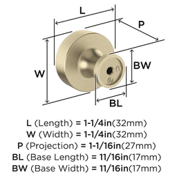 1-1/4" Dupont Circle Cabinet Knob, Golden Champagne Alt 1 - Image