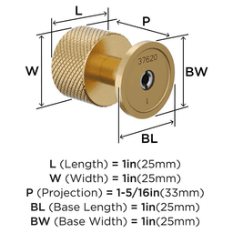 1" Balata Cabinet Knob, Champagne Bronze Alt 1 - Image