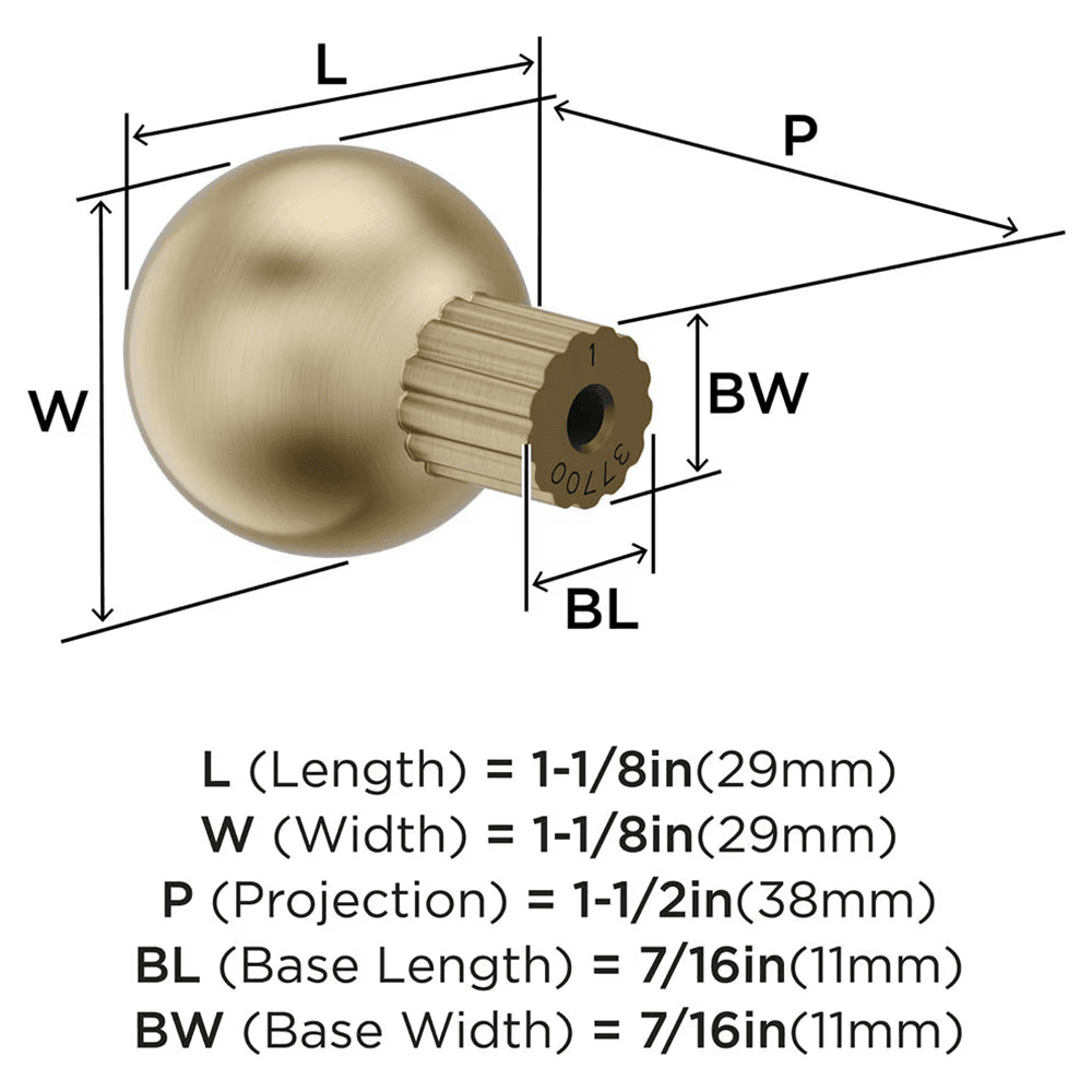 29mm Cowrie Cabinet Knob, Golden Champagne Alt 1 - Image