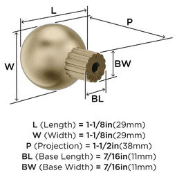 29mm Cowrie Cabinet Knob, Golden Champagne Alt 1 - Image