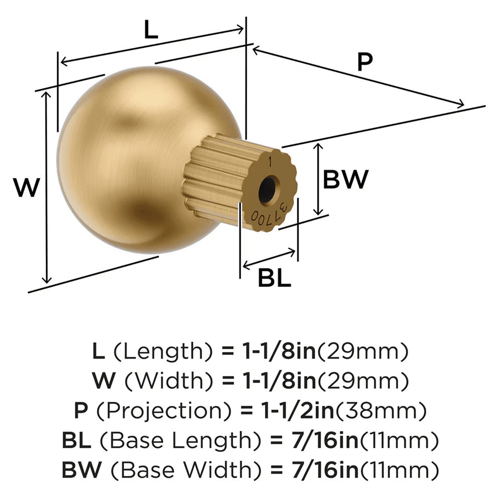 29mm Cowrie Cabinet Knob, Champagne Bronze Alt 1 - Image