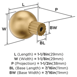 29mm Cowrie Cabinet Knob, Champagne Bronze Alt 1 - Image