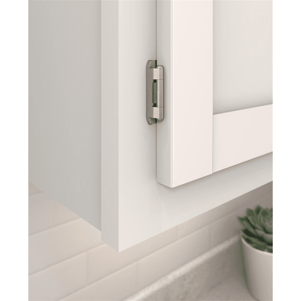 Single Demountable Hinge, Self-Closing, 1/2" Overlay, Nickel-Plated - Beauty Shot