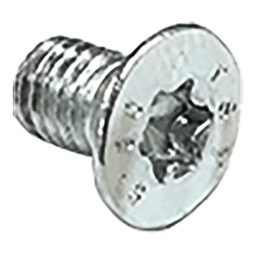 Torx Screw M5 x 8.5mm Main - Image