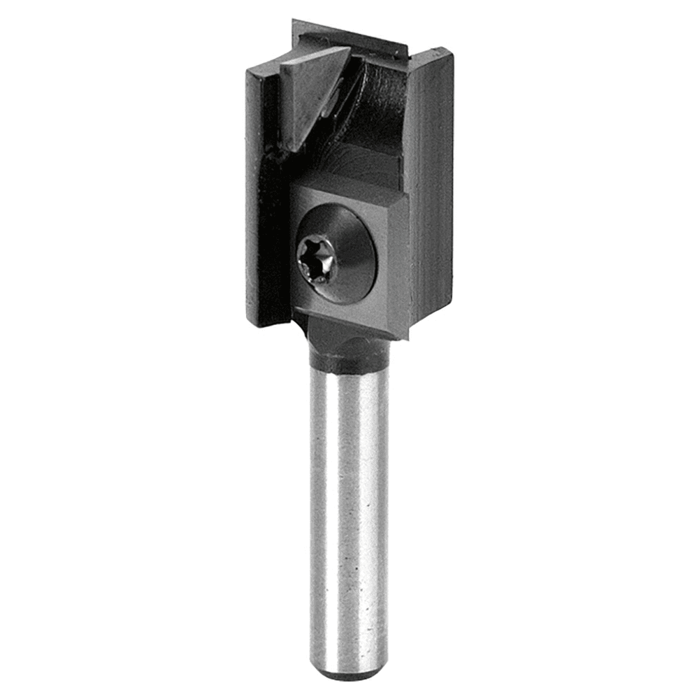 3/4" x 2" Insert Economy Staggered Plunge Bit, 1+1-Flute, 1/4" Shank - Main Image