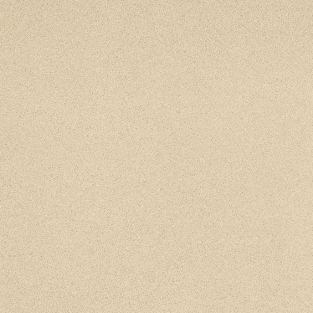 48" x 96" Pionite Laminate AV751-SD Celery Fiber Texture