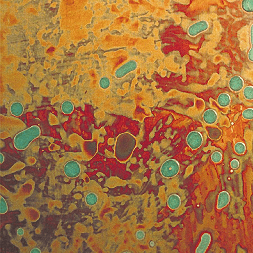 ATI Decorative Laminates Laminate in Color C414 Patina Malchit, 96" x 48" - Unique Artwork Design