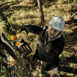 Flexvolt 20V/60V Max Battery Included for Backwards Compatibility & Up to 70 Cuts per Charge