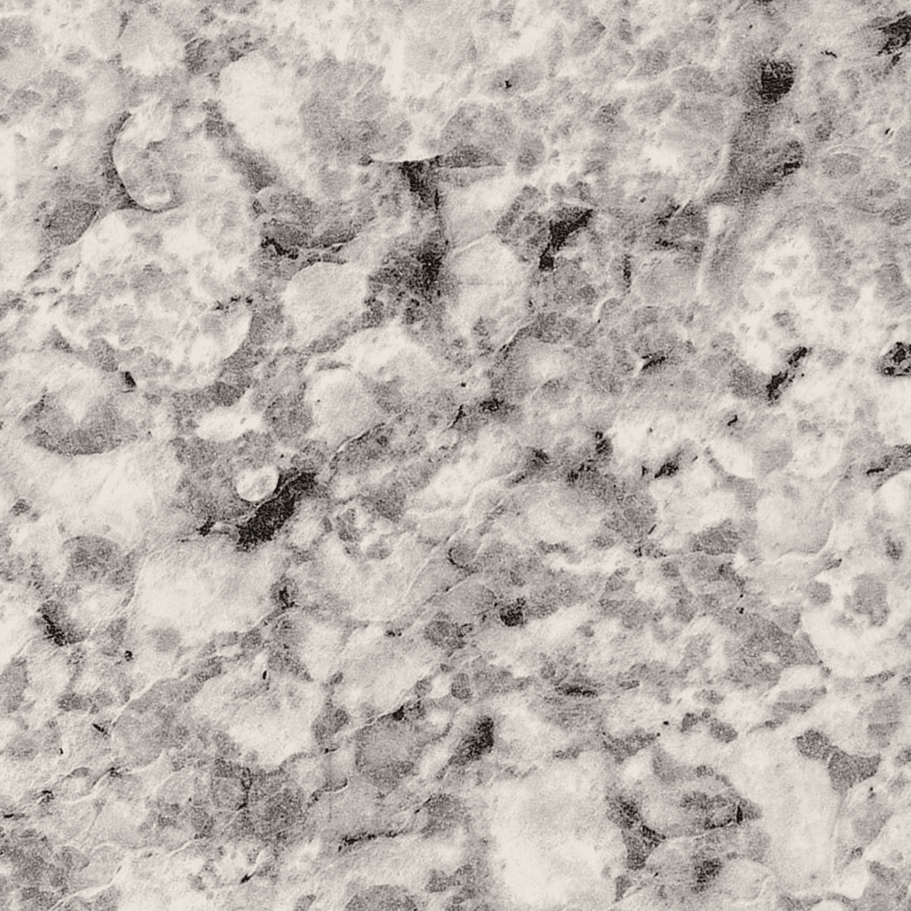 0.035" Thick Formica IdealEdge Edgebanding in Argento Romano with Etchings Finish
