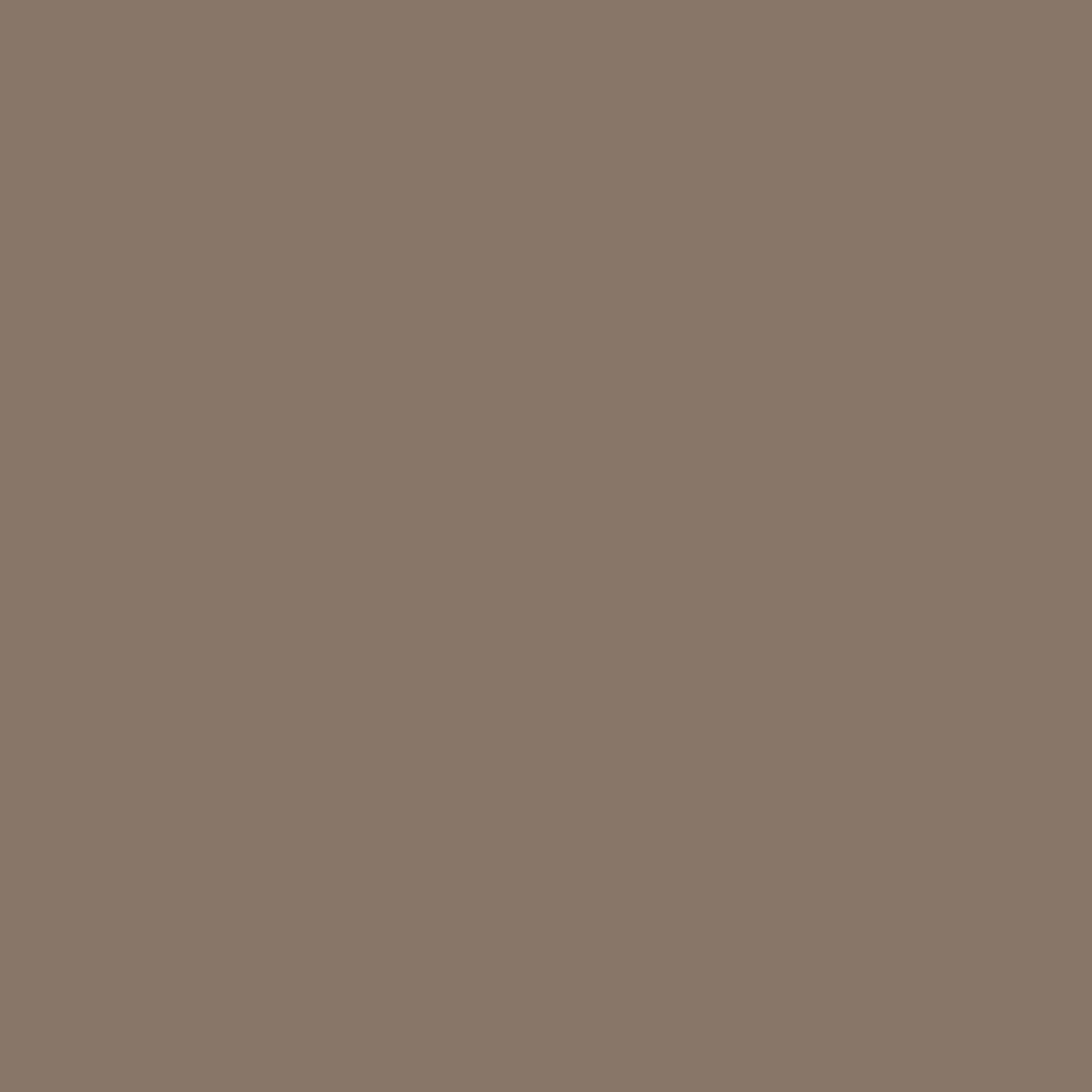 Formica Laminate Earth 5342-58 Vertical Postforming Grade Matte Finish 48" x 96"