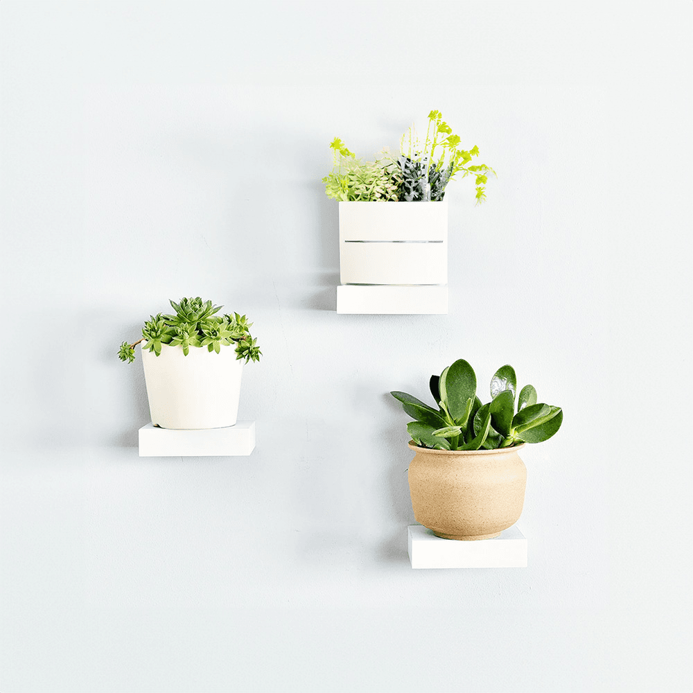 6" x 6" x 2-1/8" Mini Classic Floating Shelf, White Alt 2 - Image