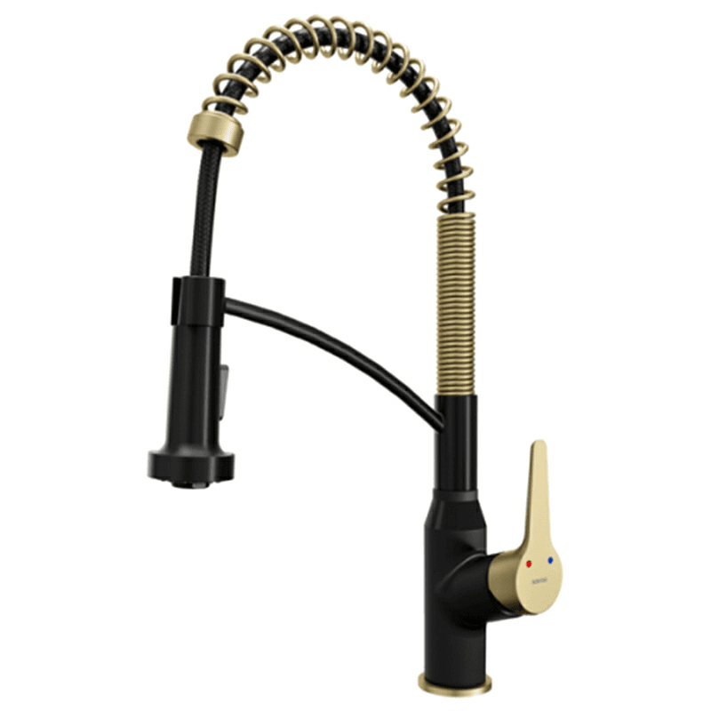 Scottsdale Single-Handle Pull-Down Sprayer Kitchen Faucet, Matte Black/Brushed Gold Main - Image