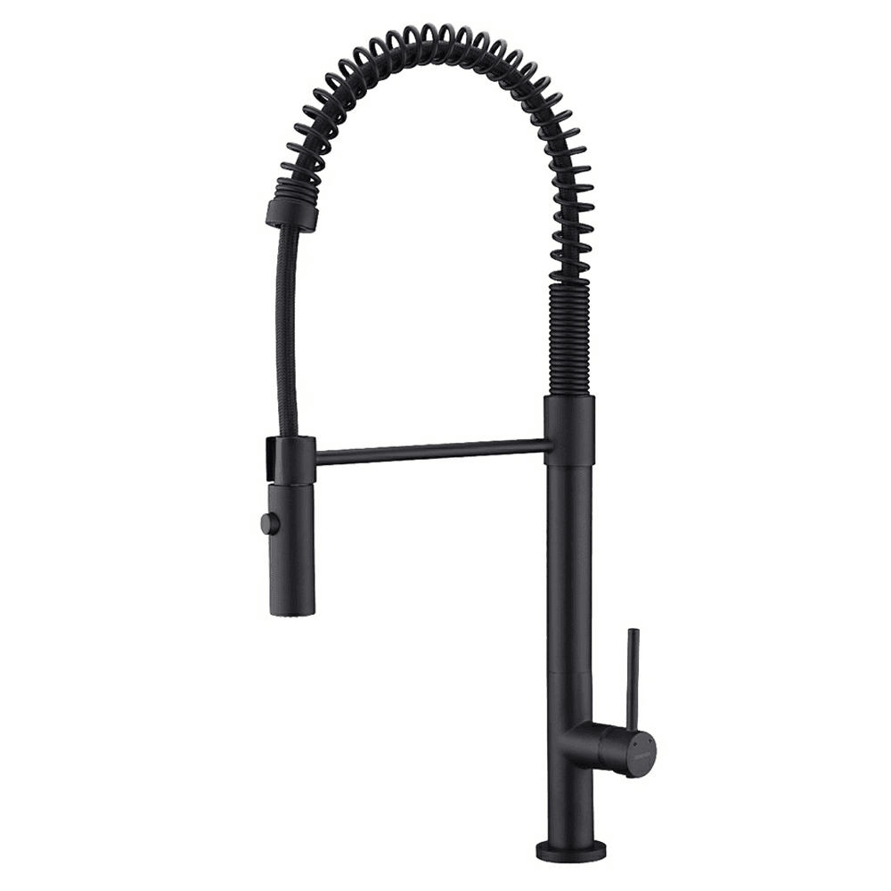 Bluffton Single-Handle Pull-Down Kitchen Faucet in Matte Black Finish