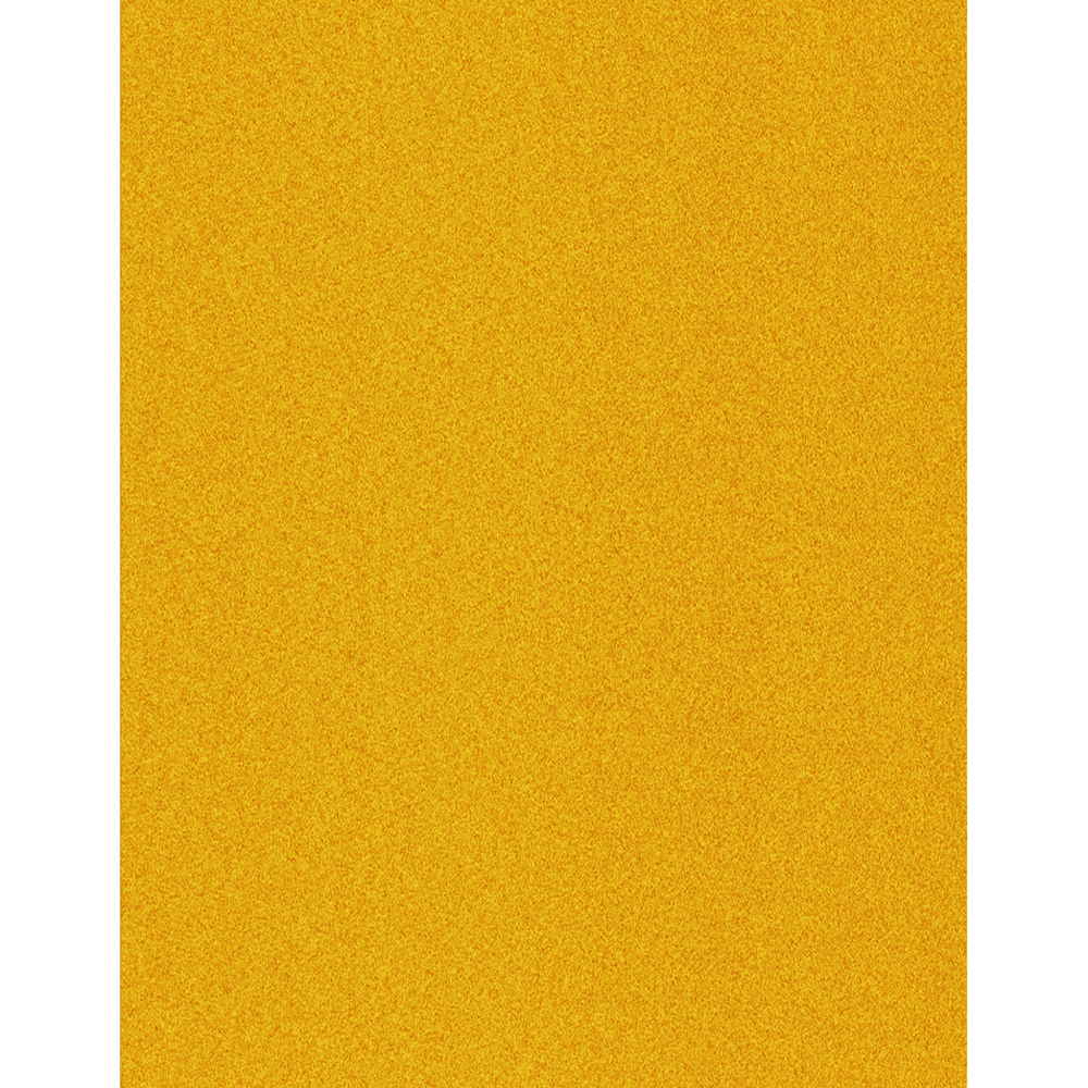 9" x 11" 120 Grit Aluminum Oxide Abrasive Sheet (50/Box) - Main Image