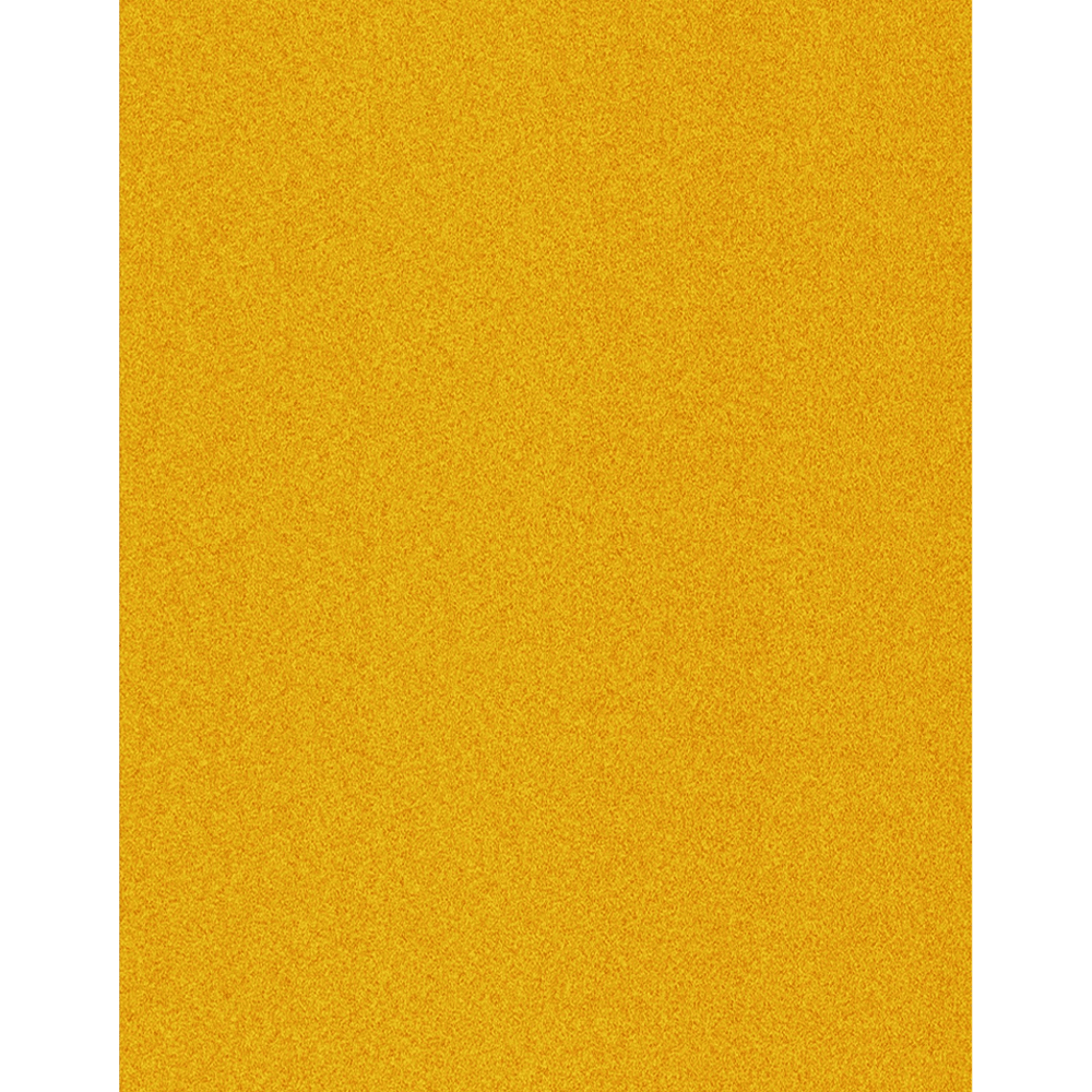 9" x 11" 220 Grit Aluminum Oxide Abrasive Sheet (50/Box) - Main Image