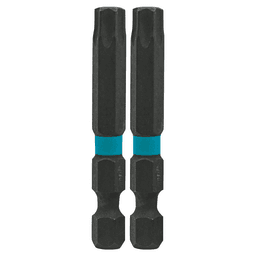 T40 x 2" ImpactX Torx Drive Power Bit (2/Pack) Main - Image