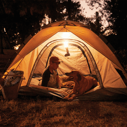 18V LXT L.E.D. Lantern/Flashlight, Flashlight Only Alt 7 - Image