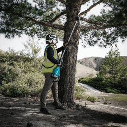 40V Max XGT Brushless Cordless 10" Pole Saw Kit (5.0Ah) Alt 13 - Image