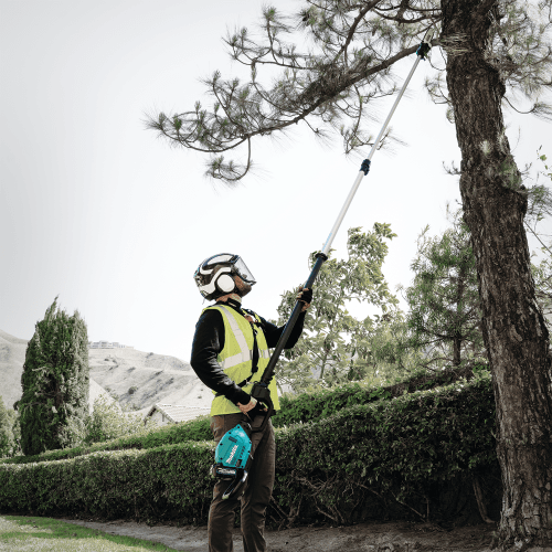 40V max XGT Brushless Cordless 10" Telescoping Pole Saw Kit (4.0Ah) Alt 9 - Image