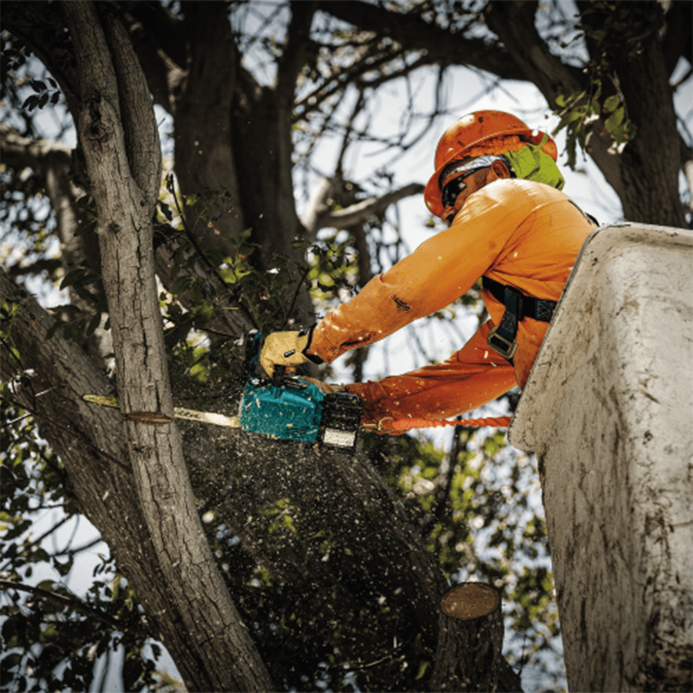 40V Max XGT Brushless Cordless (5.0Ah) 14" Top Handle Chain Saw Kit Alt 12 - Image