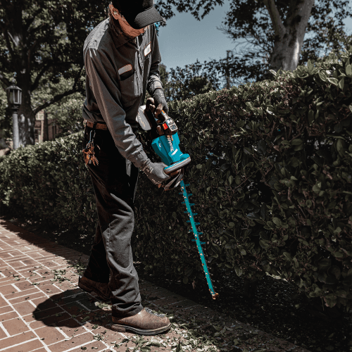 40V max XGT Brushless Cordless 24" Hedge Trimmer Tool Only Alt 5 - Image