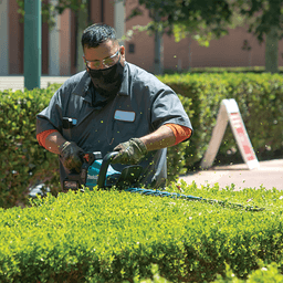 40V Max XGT Brushless Cordless 30" Hedge Trimmer Kit Alt 7 - Image