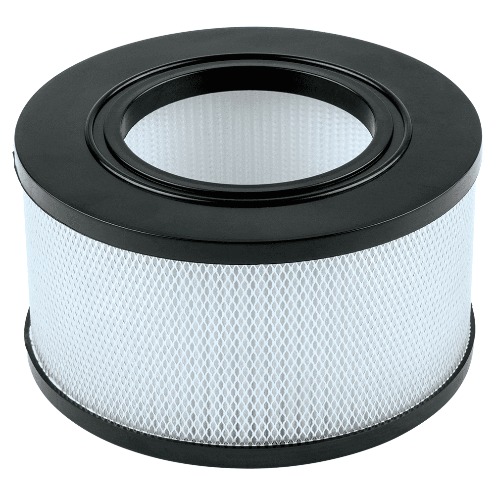 Wet/Dry HEPA Filter for VC4210 Main - Image