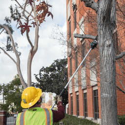 36V LXT Brushless 10" Pole Saw Kit, 8' Length (5.0Ah) Alt 16 - Image