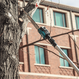 36V LXT Brushless 10" Telescoping Pole Saw Kit, 13' Length (5.0Ah) Alt 15 - Image