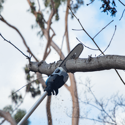 36V LXT Brushless 10" Telescoping Pole Saw Kit, 13' Length (5.0Ah) Alt 16 - Image