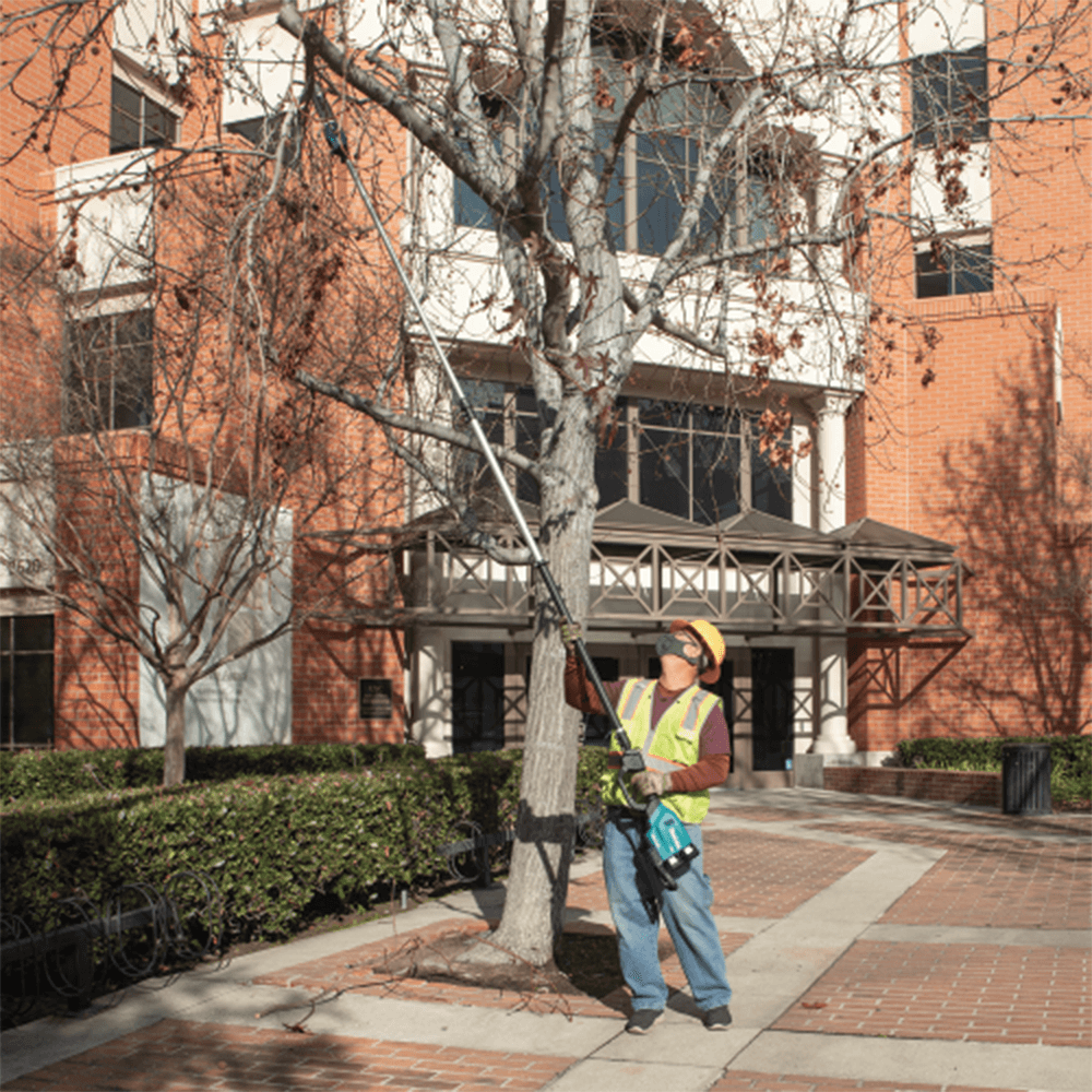 36V LXT Brushless 10" Telescoping Pole Saw Kit, 13' Length (5.0Ah) Alt 18 - Image