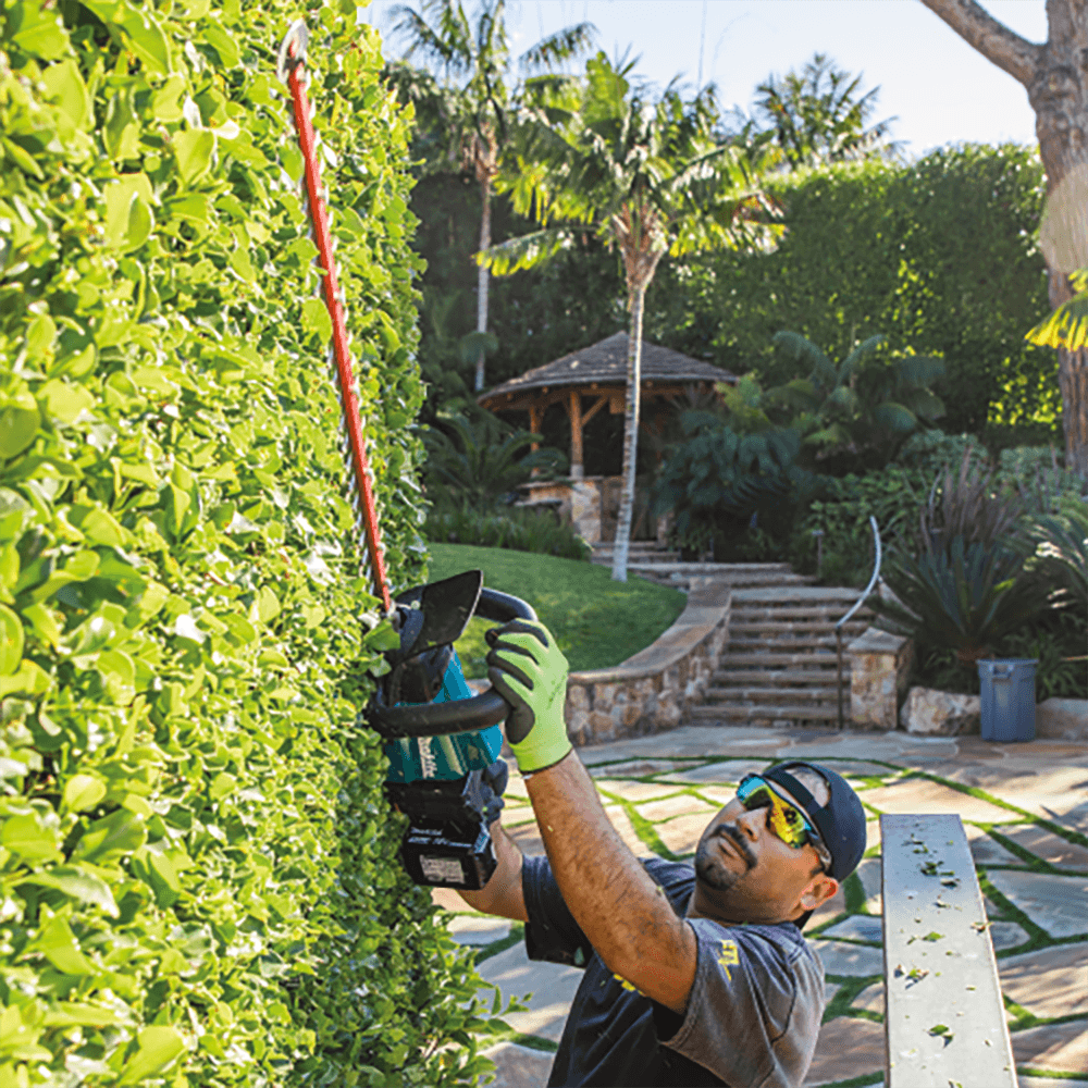 44-1/4" 18V LXT Lithium‑Ion Brushless Cordless Hedge Trimmer Kit (5.0Ah) Alt 14 - Image