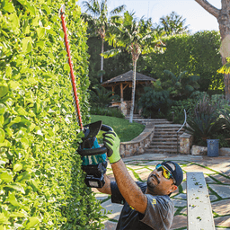 44-1/4" 18V LXT Lithium‑Ion Brushless Cordless Hedge Trimmer Kit (5.0Ah) Alt 14 - Image