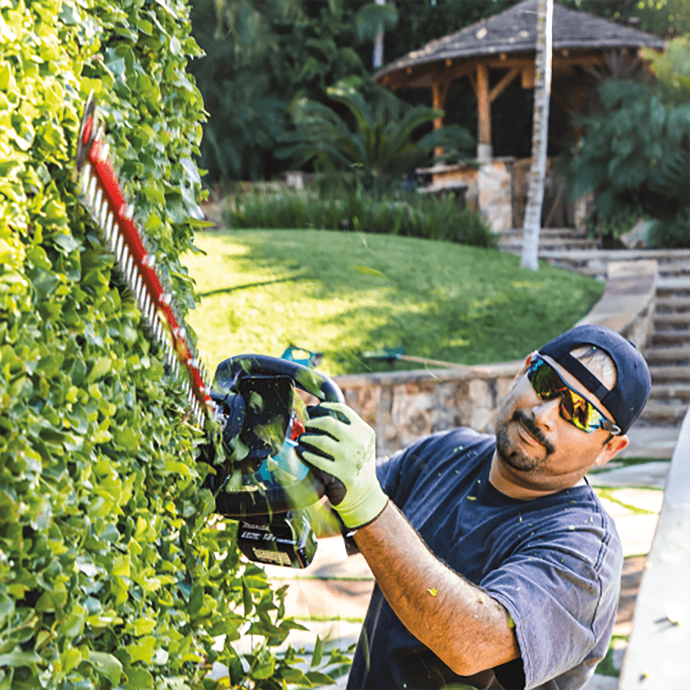 49-3/4" 18V LXT Lithium‑Ion Brushless Cordless Hedge Trimmer Kit (5.0Ah) Alt 14 - Image