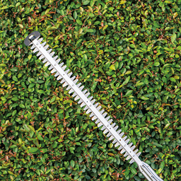 18V LXT Lithium‑Ion Brushless Cordless 24" Pole Hedge Trimmer, Tool Only Alt 8 - Image