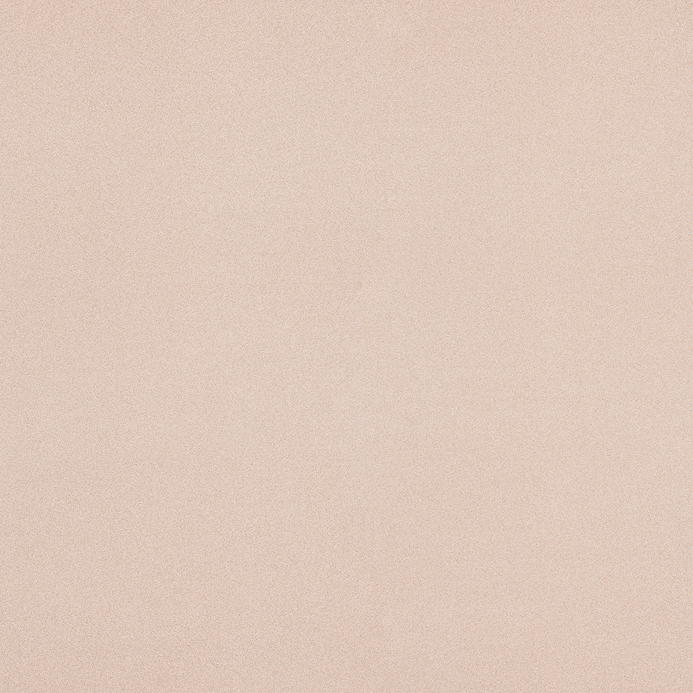 Horizontal Postforming Grade ARP Finish - Image 3