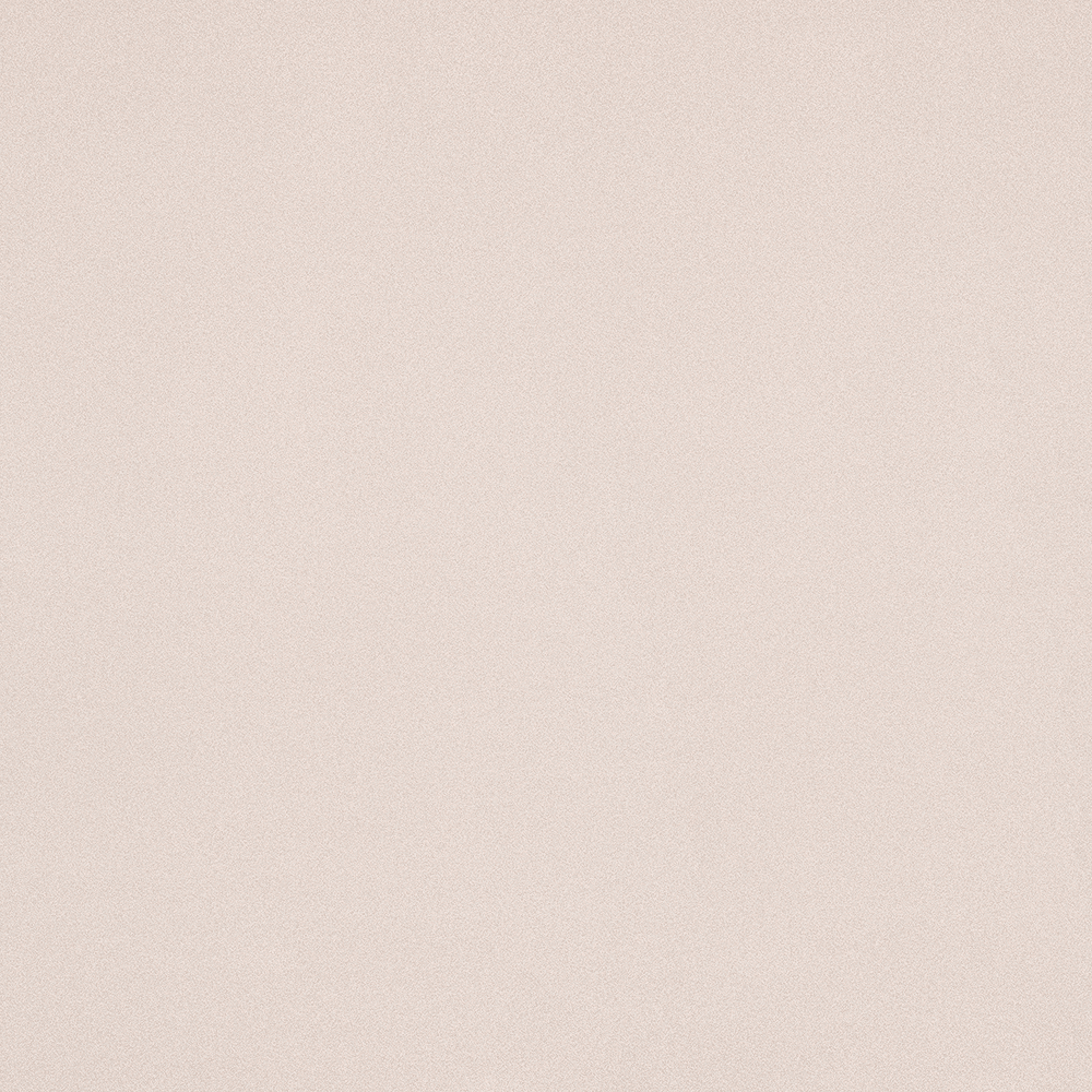 60" x 144 Nevamar Laminate in MR6008-T Birch Matrix