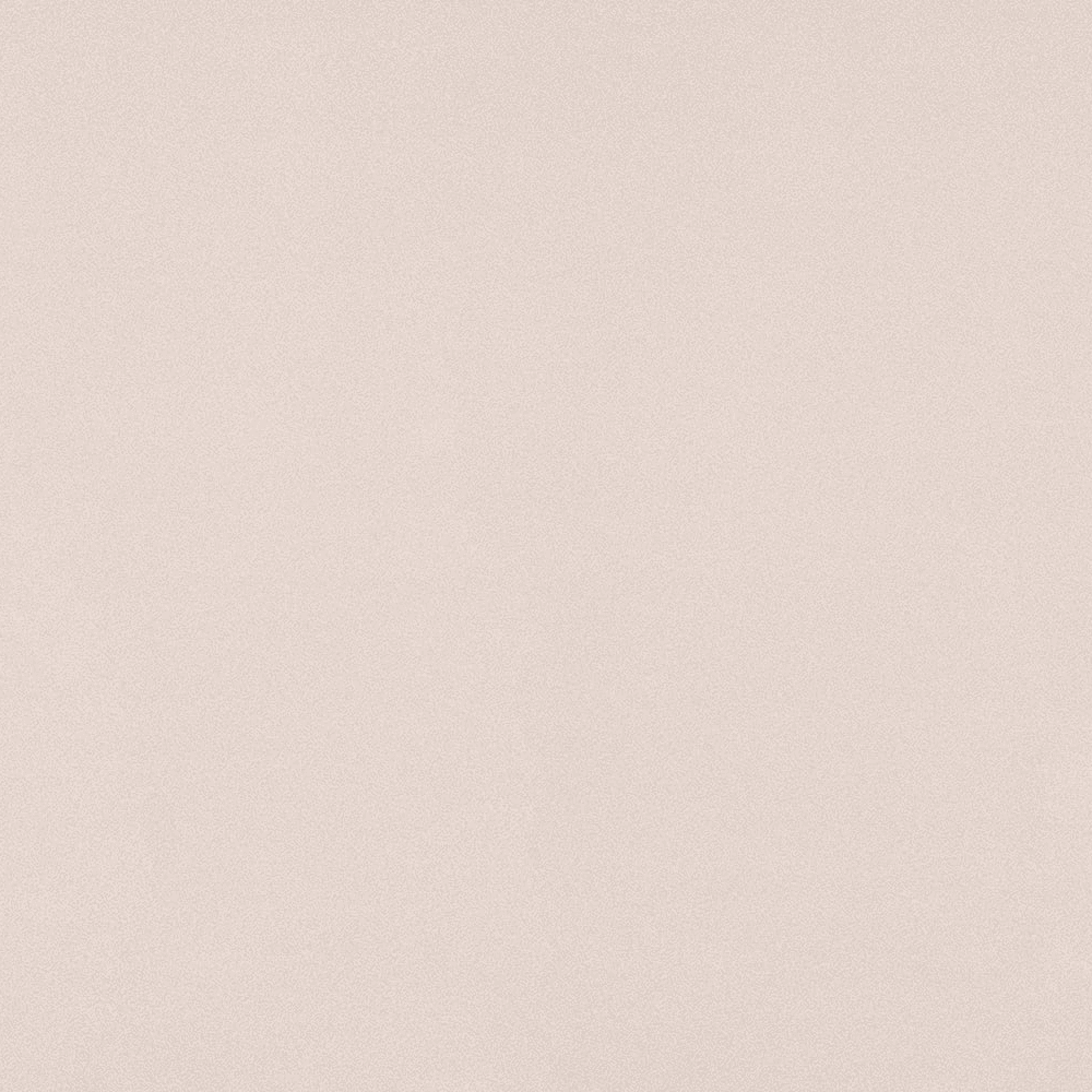 Nevamar Birch Matrix Laminate - Horizontal Postforming Grade ARP Finish