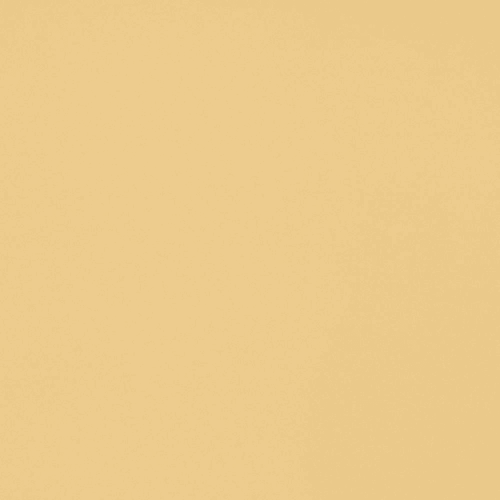 Nevamar Laminate PR2002-T Papier Au Lait 60" x 144" Display Image