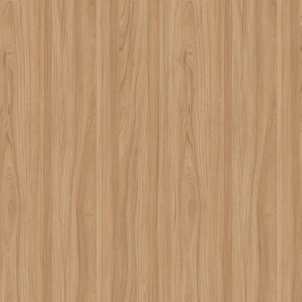 2-Sided Veneer Panel, Olmo Miele, 45mm Thick 81-1/2" x 120" Main - Image